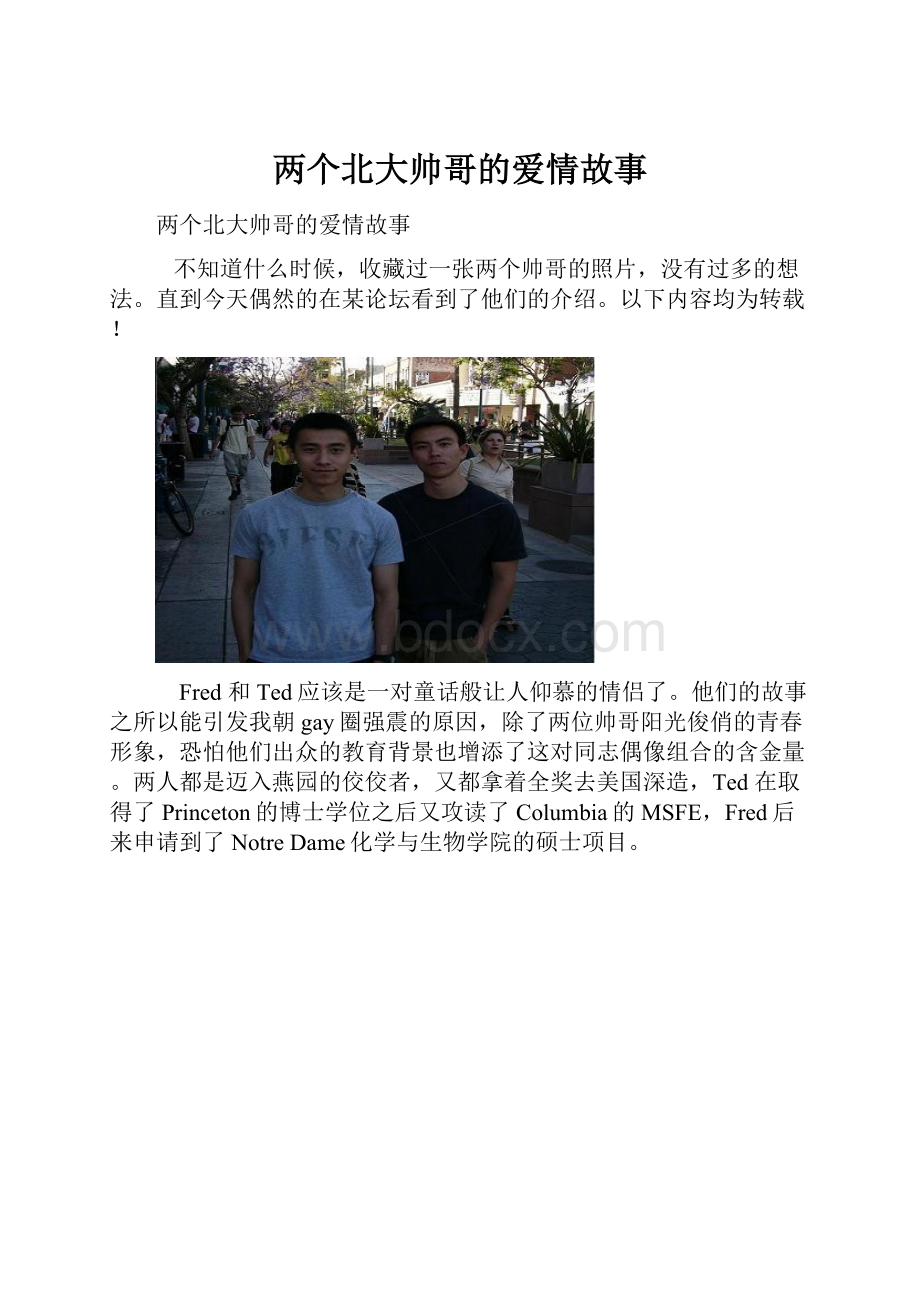 两个北大帅哥的爱情故事.docx_第1页