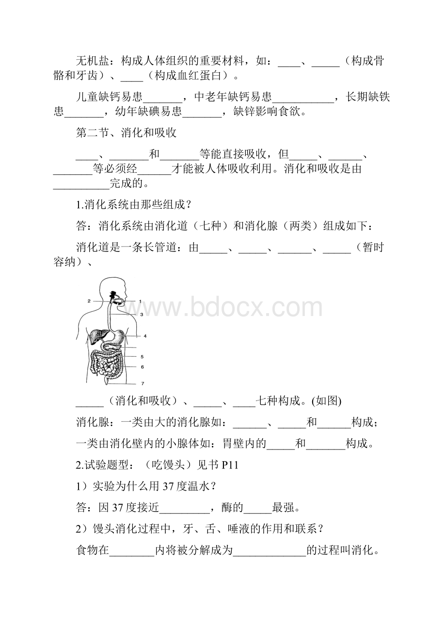 七年级生物下册 基础知识 济南版.docx_第3页