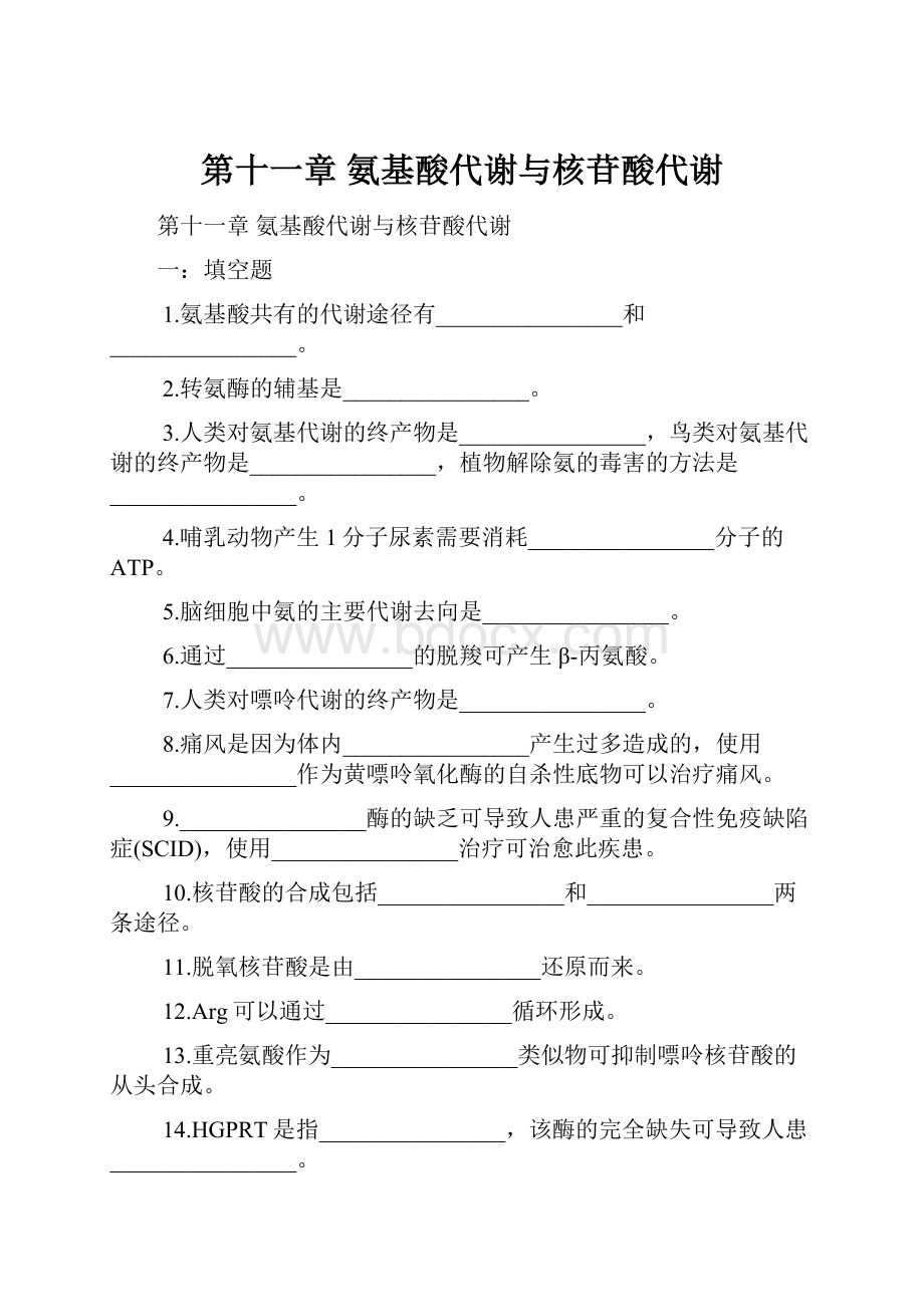 第十一章 氨基酸代谢与核苷酸代谢.docx_第1页