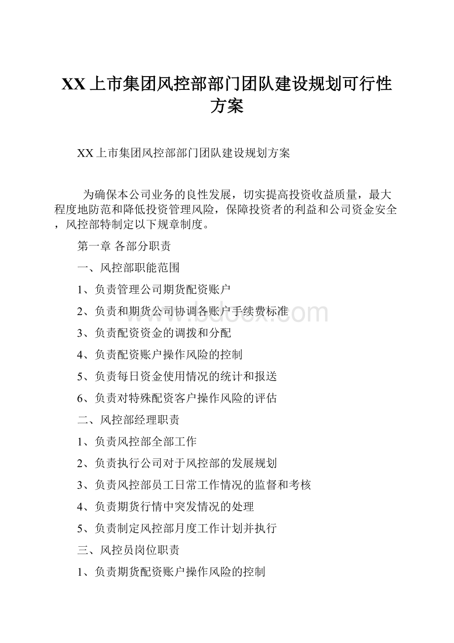 XX上市集团风控部部门团队建设规划可行性方案.docx