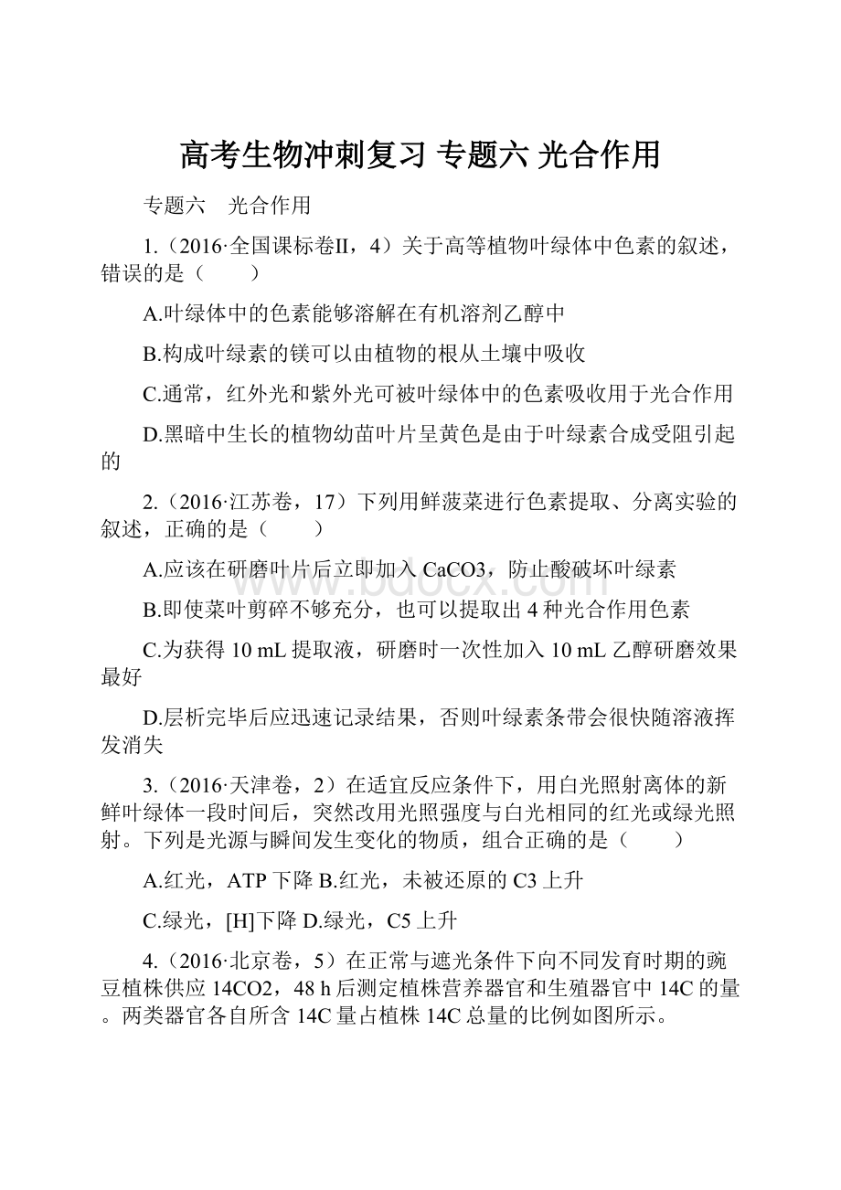 高考生物冲刺复习 专题六 光合作用.docx