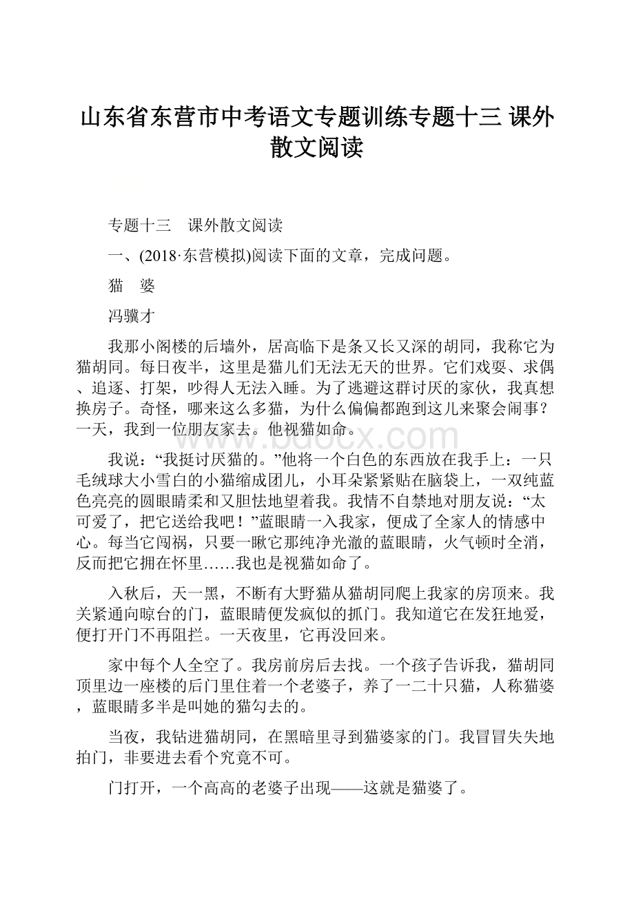 山东省东营市中考语文专题训练专题十三 课外散文阅读.docx_第1页