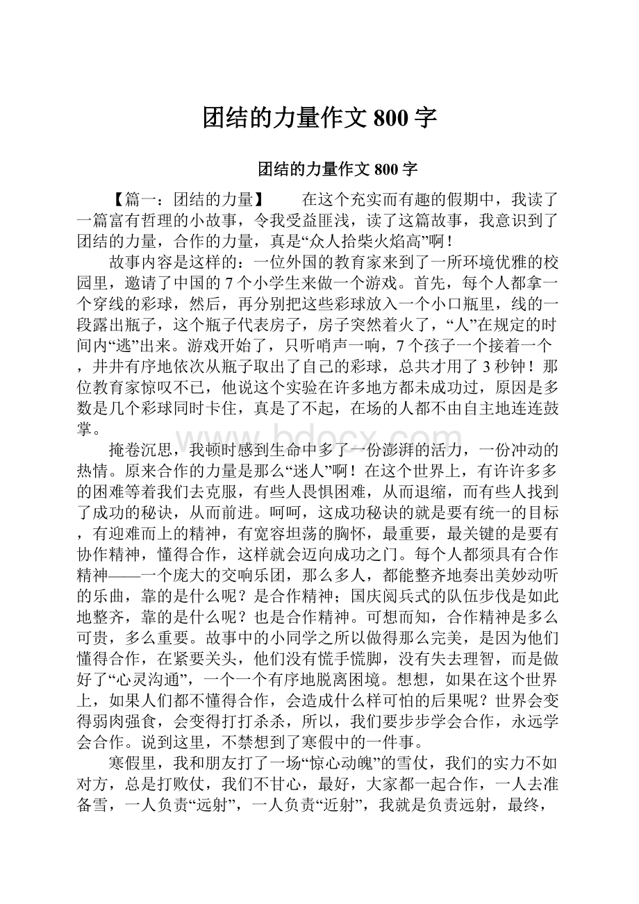 团结的力量作文800字.docx