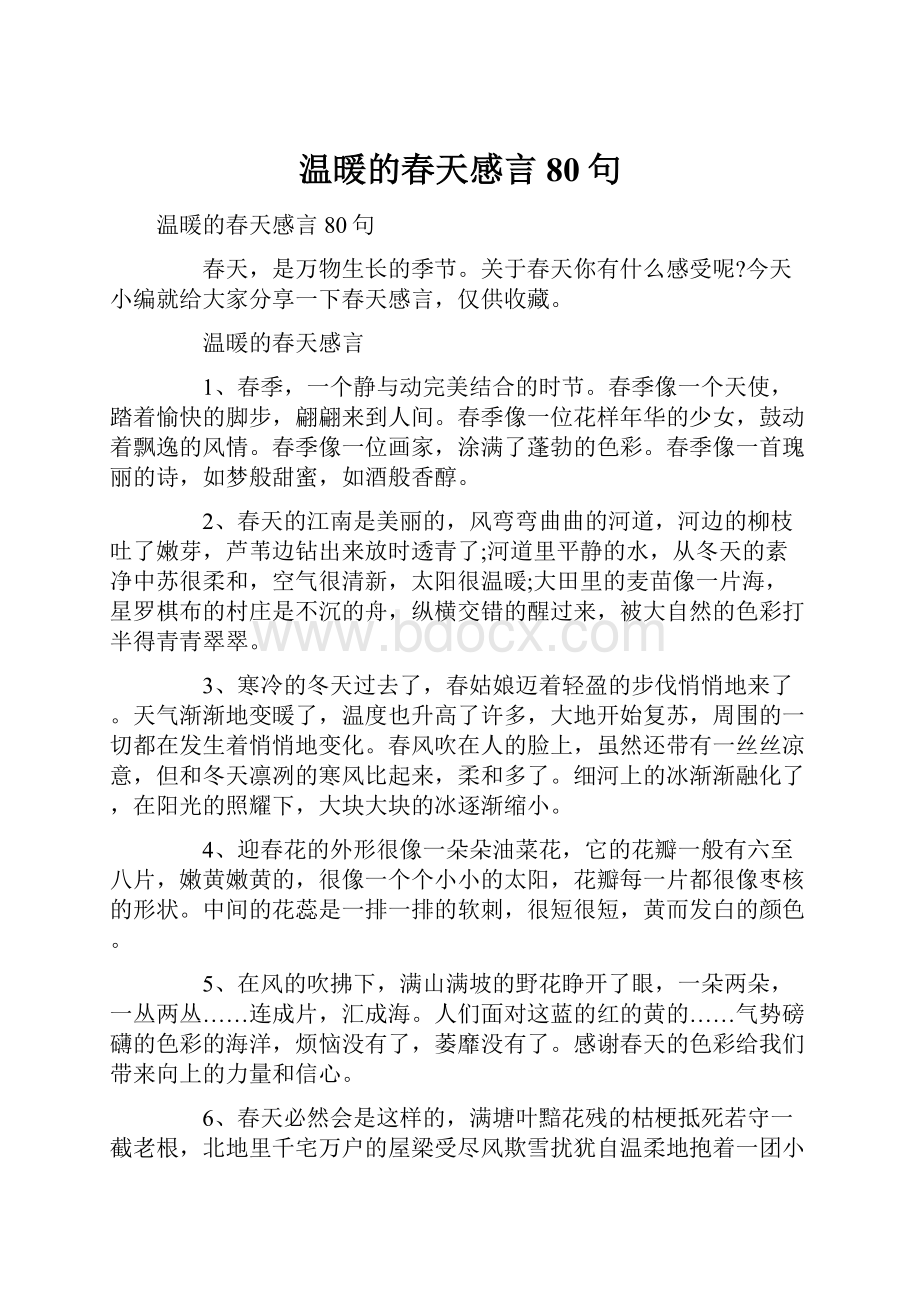 温暖的春天感言80句.docx