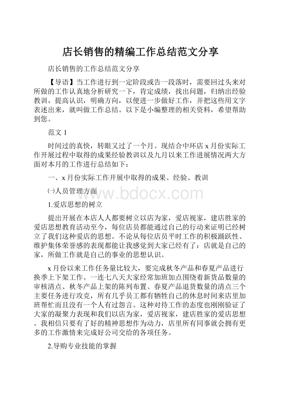 店长销售的精编工作总结范文分享.docx_第1页