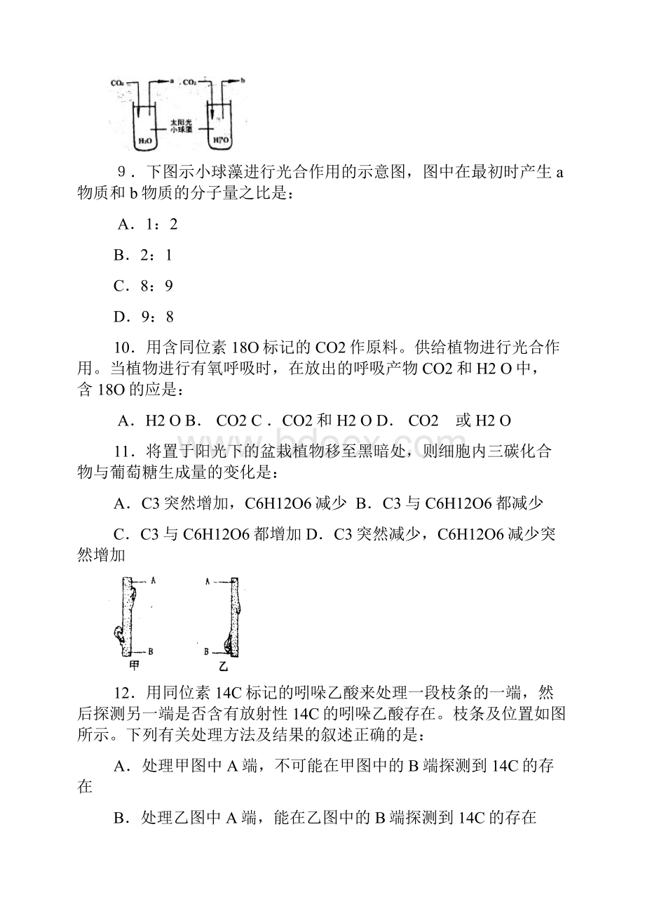 高三生物实验专题知识.docx_第3页