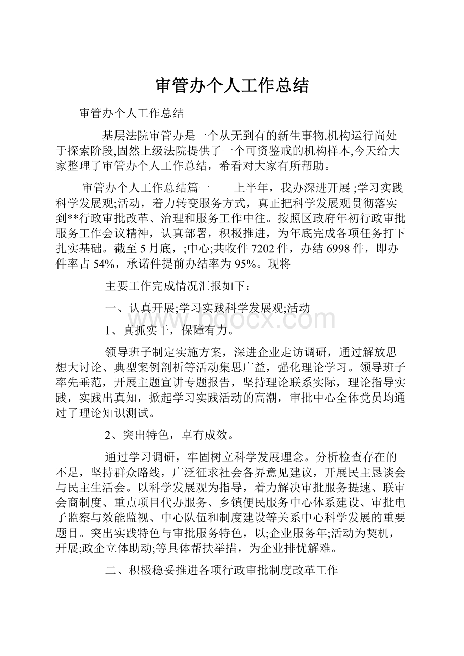 审管办个人工作总结.docx_第1页