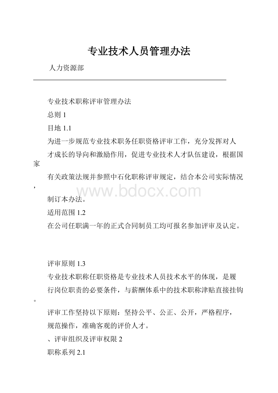 专业技术人员管理办法.docx_第1页