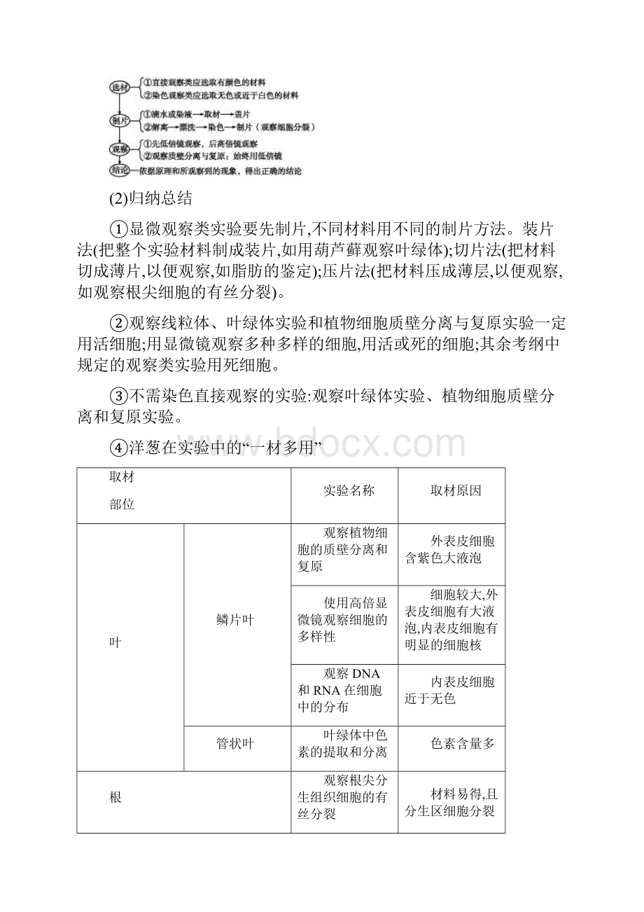 高考生物二轮全书复习专题八考点18精校doc.docx_第3页