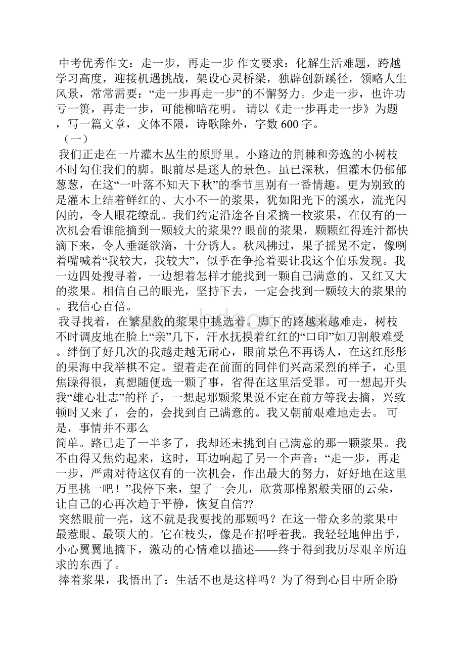 走一步再走一步作文600字.docx_第2页