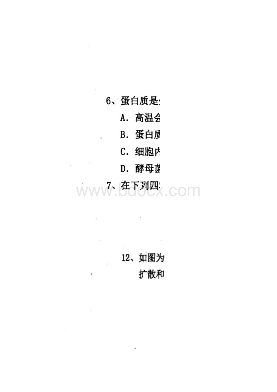 武邑中学学年高三上学期第二次调研考试生物含 答案09.docx_第2页