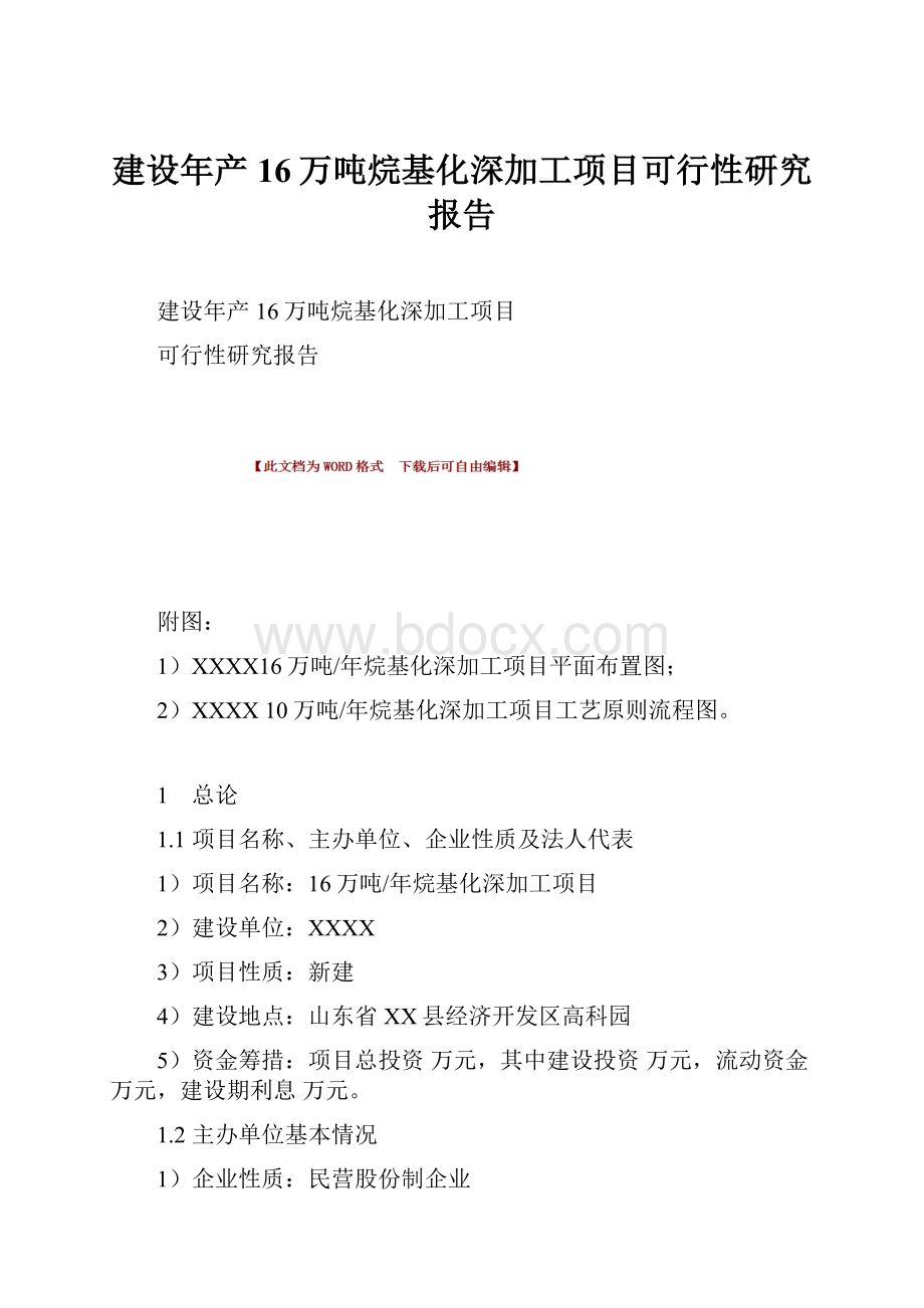 建设年产16万吨烷基化深加工项目可行性研究报告.docx