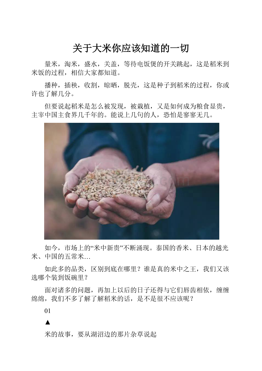 关于大米你应该知道的一切.docx_第1页