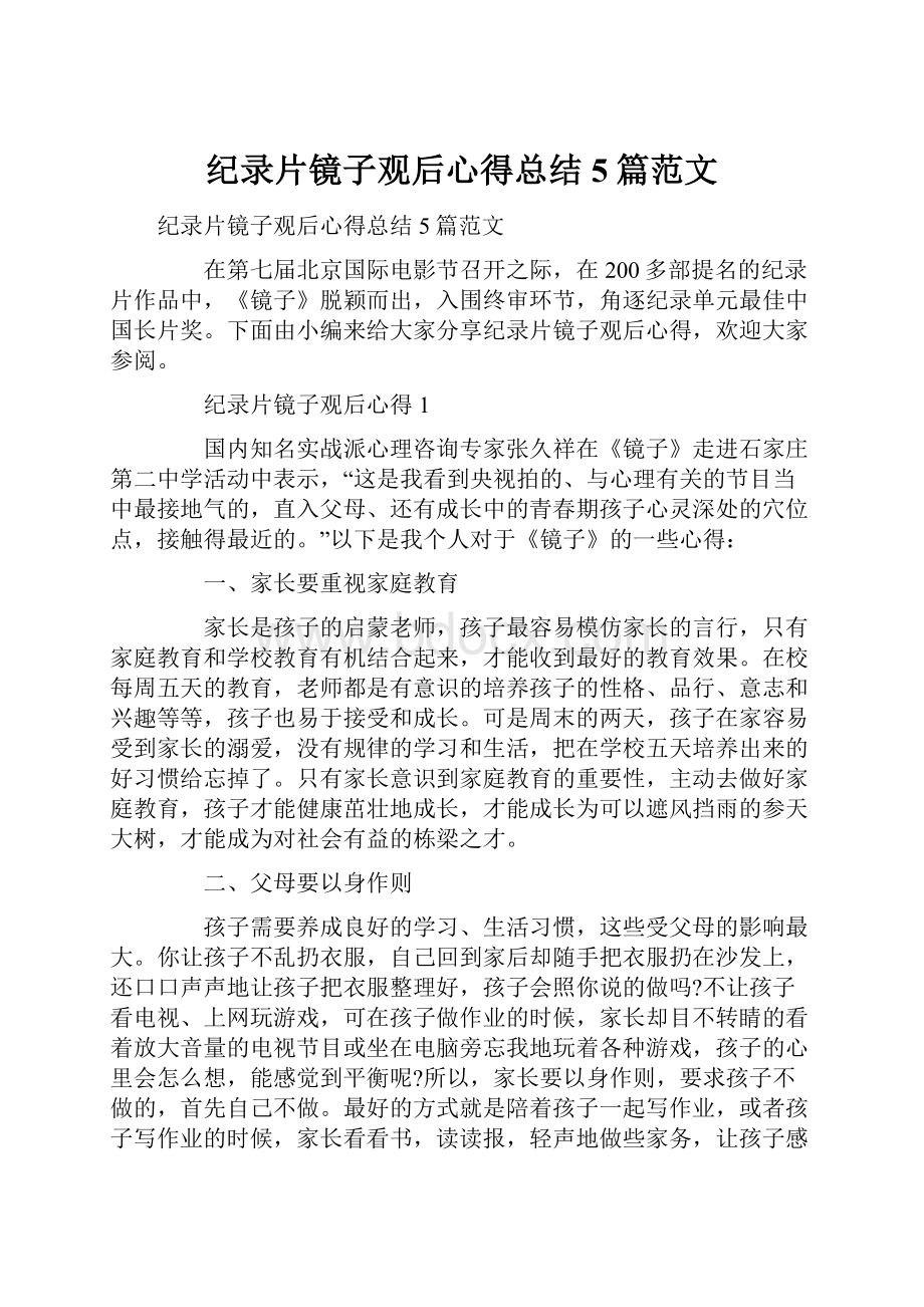 纪录片镜子观后心得总结5篇范文.docx