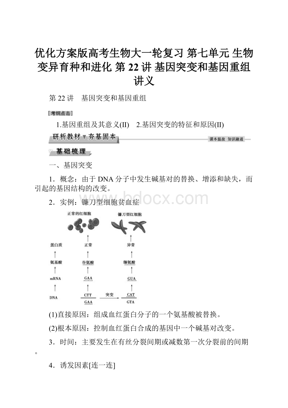 优化方案版高考生物大一轮复习 第七单元 生物变异育种和进化 第22讲 基因突变和基因重组讲义.docx_第1页