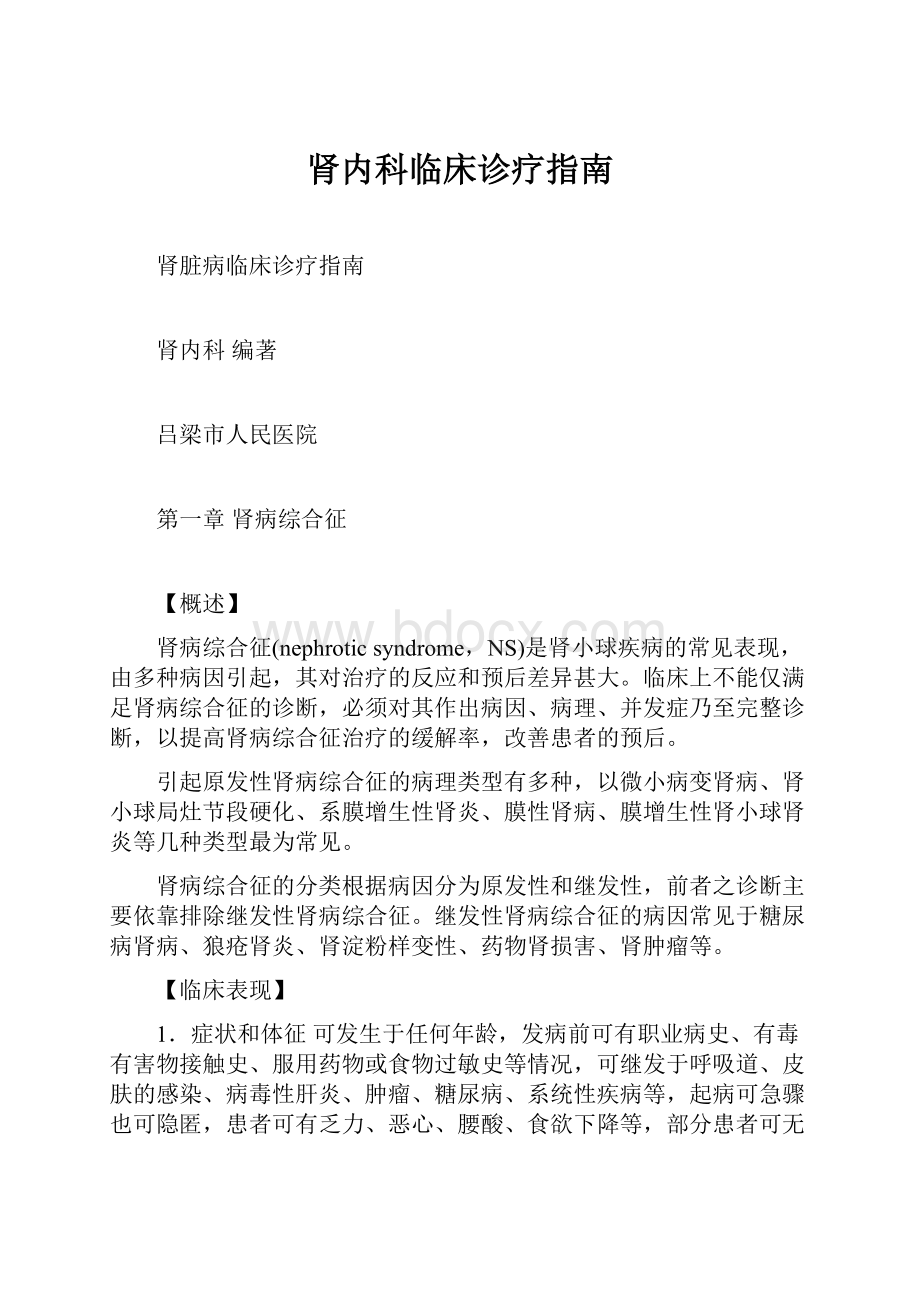 肾内科临床诊疗指南.docx_第1页