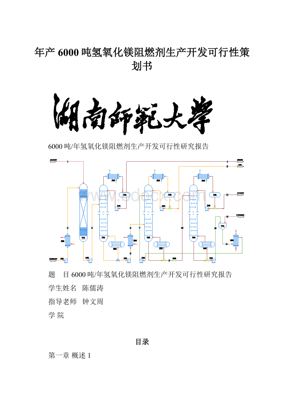 年产6000吨氢氧化镁阻燃剂生产开发可行性策划书.docx_第1页