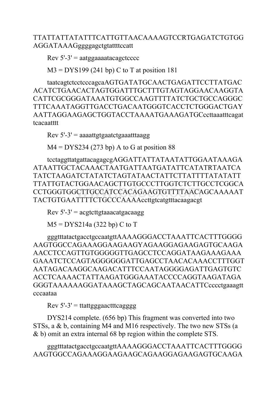 SNP sequences.docx_第3页