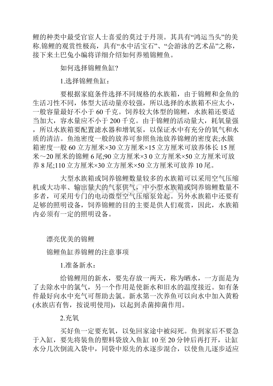 锦鲤鱼怎么养10年养殖经验汇总复习过程.docx_第2页