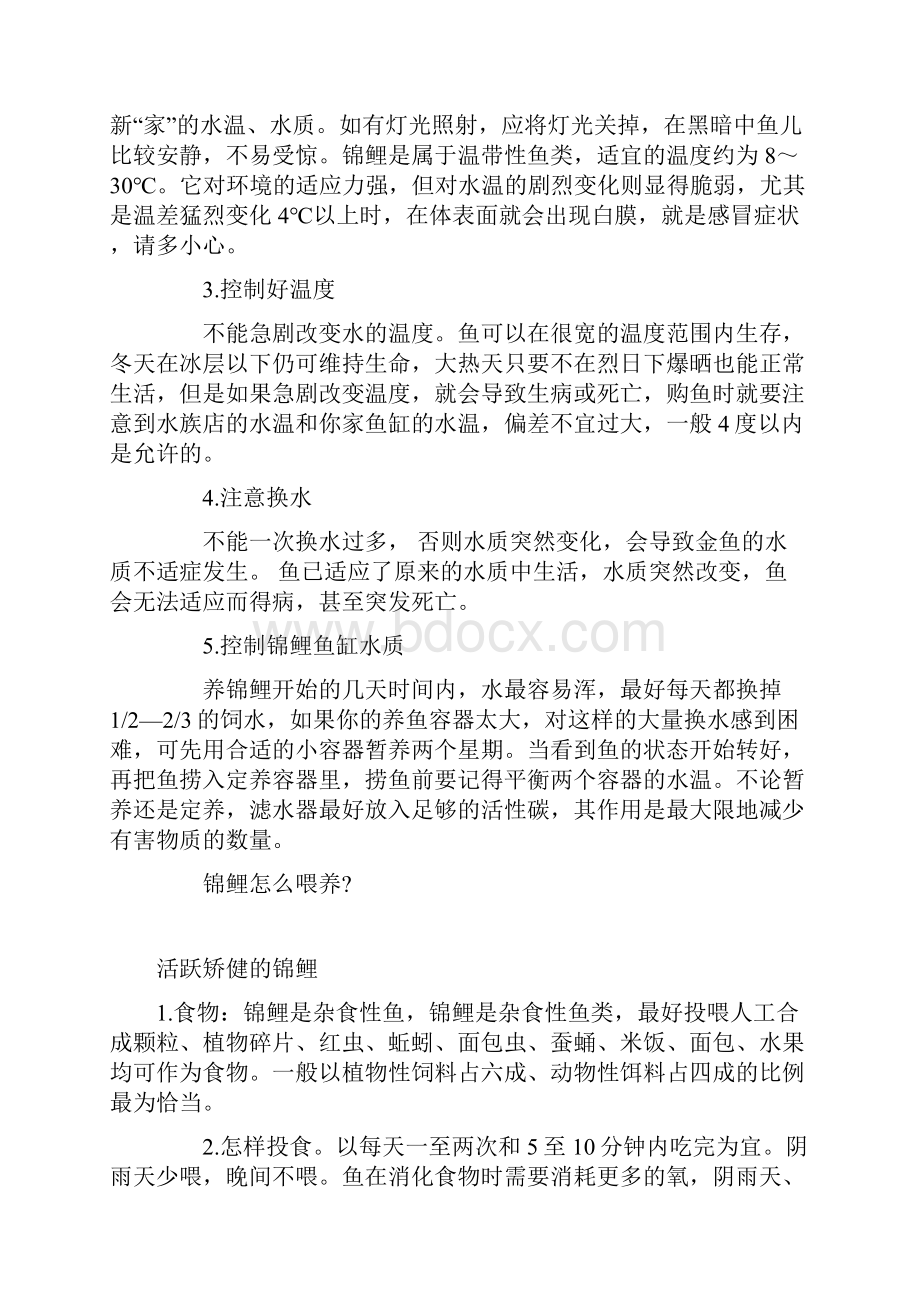 锦鲤鱼怎么养10年养殖经验汇总复习过程.docx_第3页