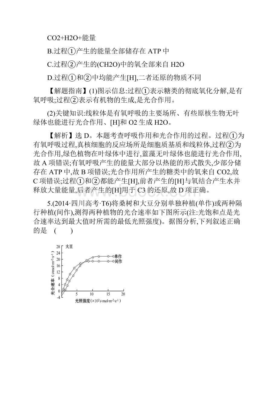 知识点5 光合作用.docx_第3页