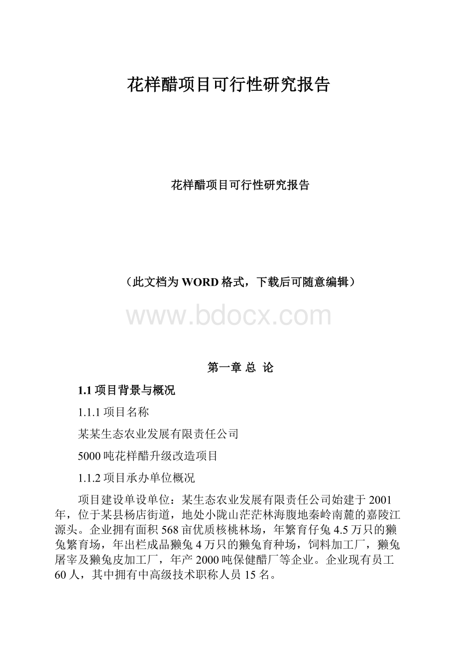 花样醋项目可行性研究报告.docx