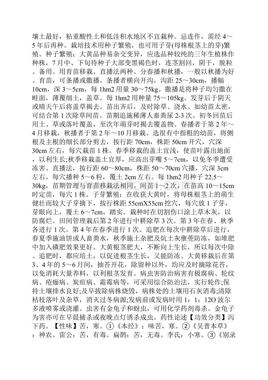 优秀文档大黄.docx_第2页