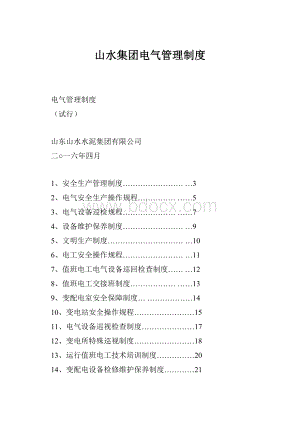 山水集团电气管理制度.docx