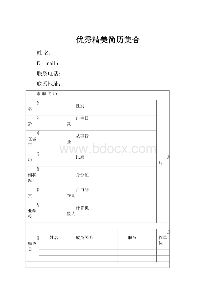 优秀精美简历集合.docx