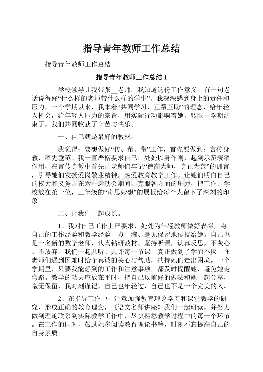 指导青年教师工作总结.docx