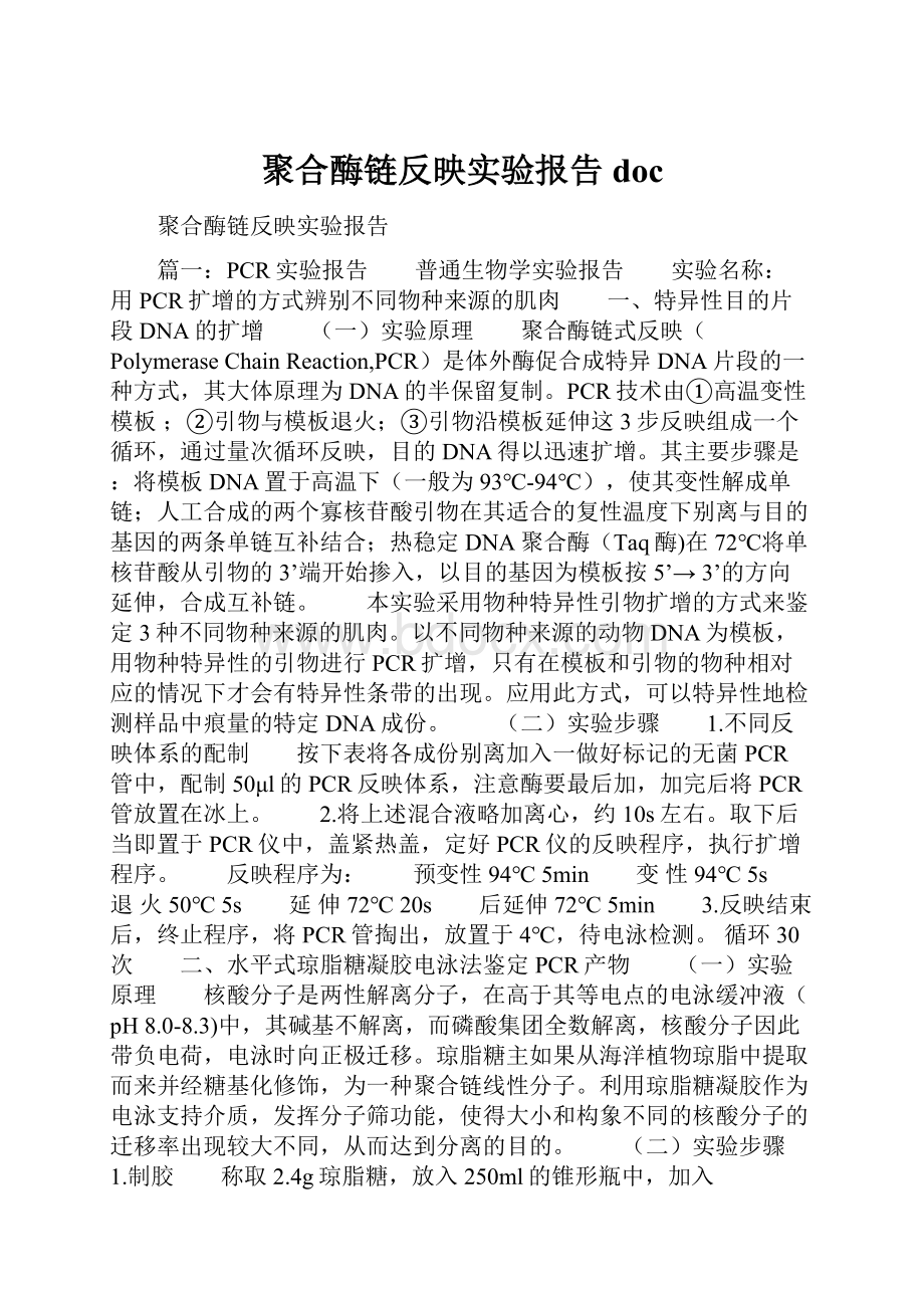 聚合酶链反映实验报告doc.docx_第1页