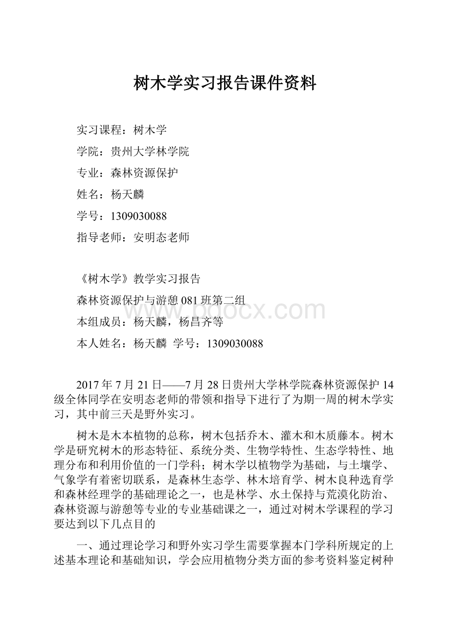 树木学实习报告课件资料.docx