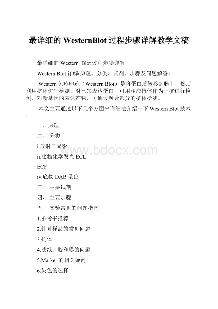 最详细的WesternBlot过程步骤详解教学文稿.docx_第1页