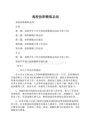 高校挂职锻炼总结.docx