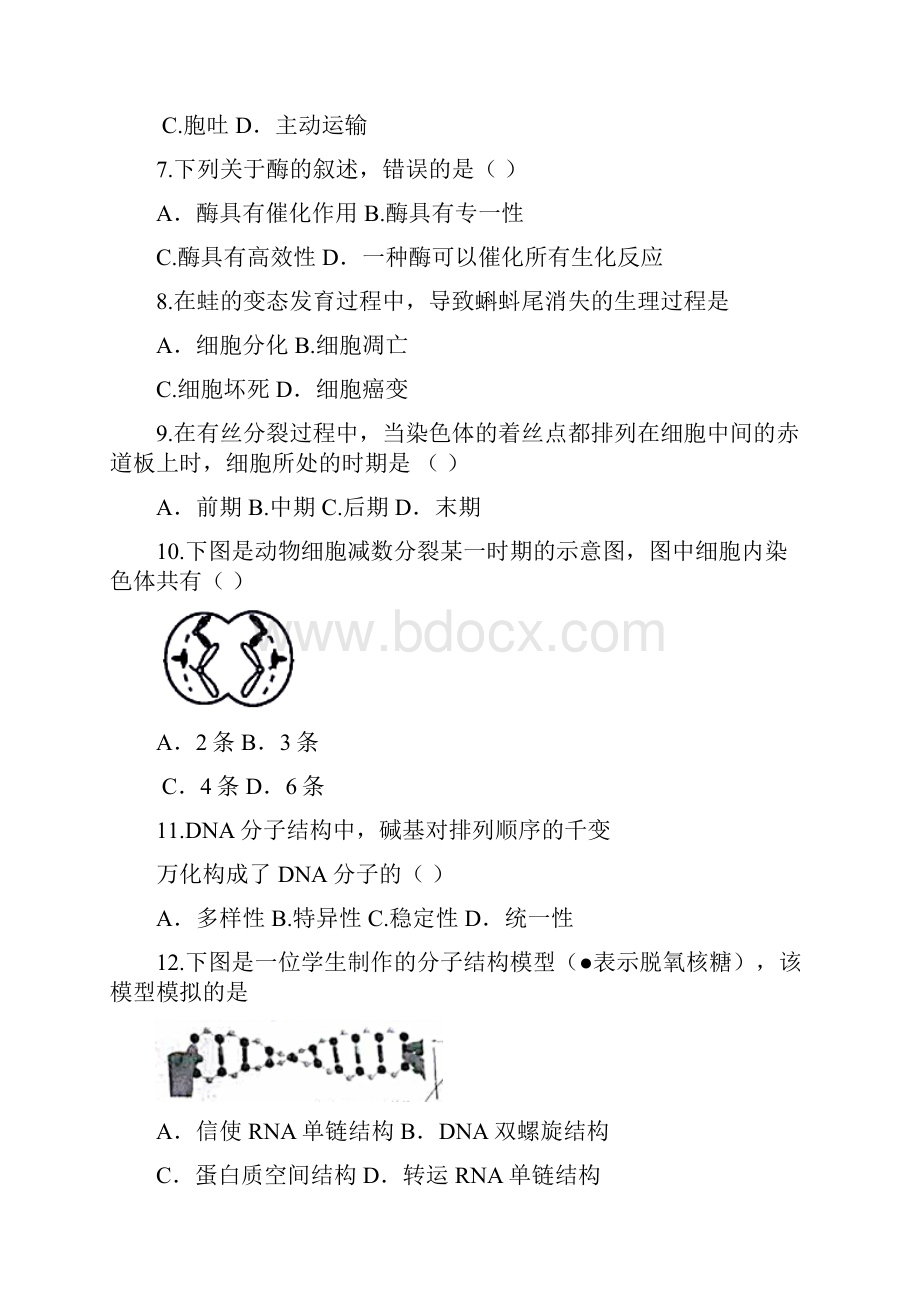 最新江苏小高考生物试题含答案.docx_第2页