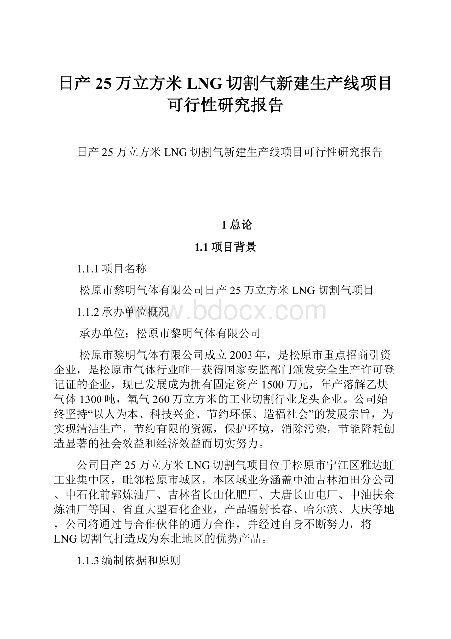 日产25万立方米LNG切割气新建生产线项目可行性研究报告.docx_第1页