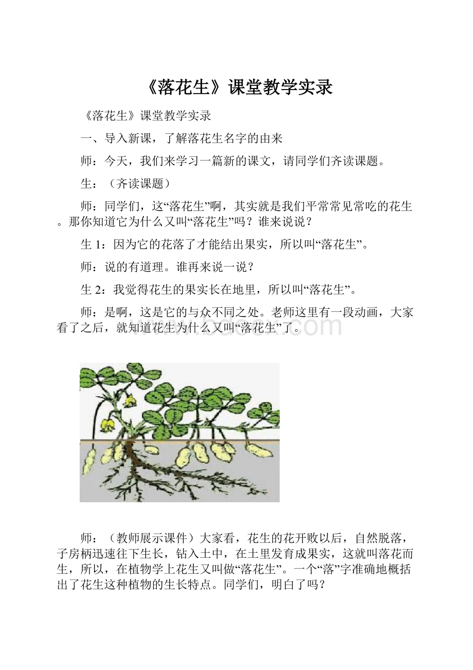 《落花生》课堂教学实录.docx_第1页