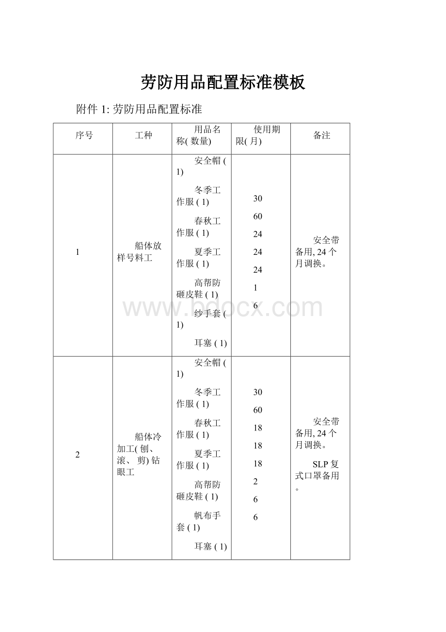 劳防用品配置标准模板.docx_第1页