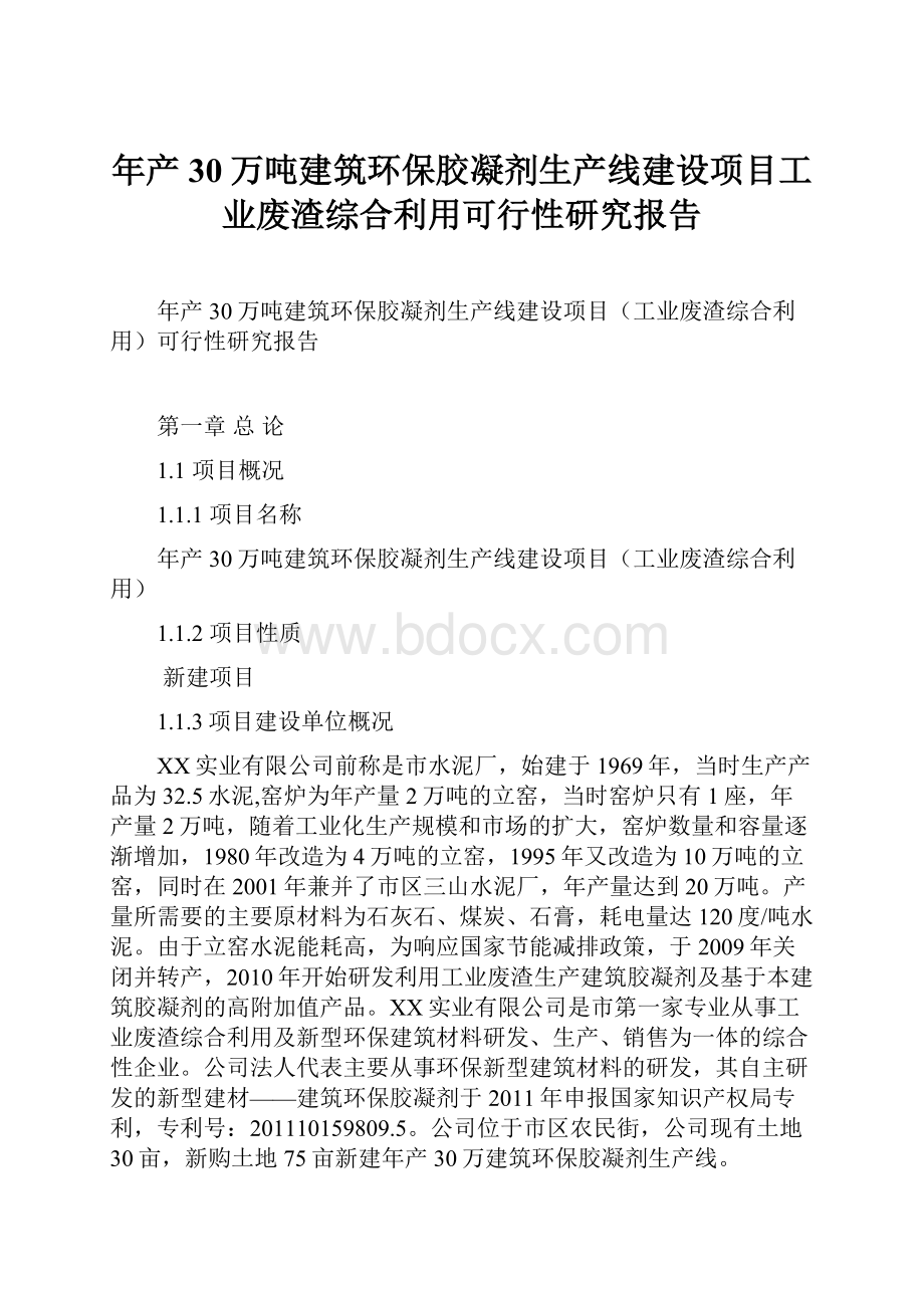 年产30万吨建筑环保胶凝剂生产线建设项目工业废渣综合利用可行性研究报告.docx