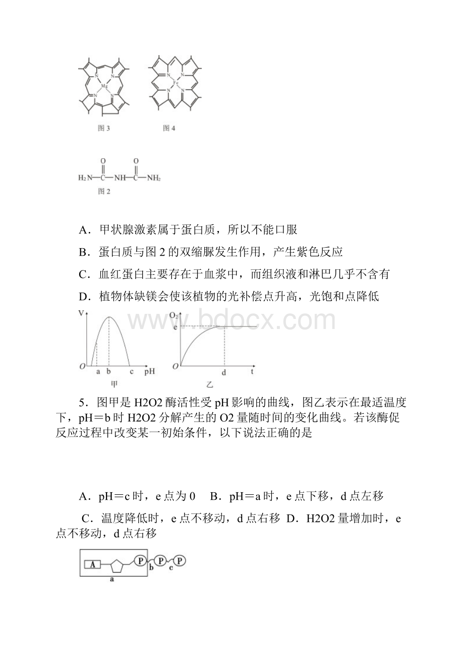 广东省中山市学年度高三级第一学期期末统一考试生物试题与答案.docx_第3页