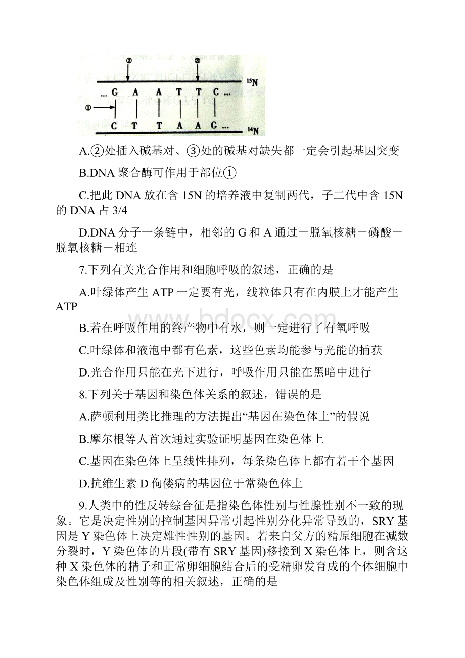 山东省枣庄市部分重点高中届高三生物上学期定时训练试题.docx_第3页