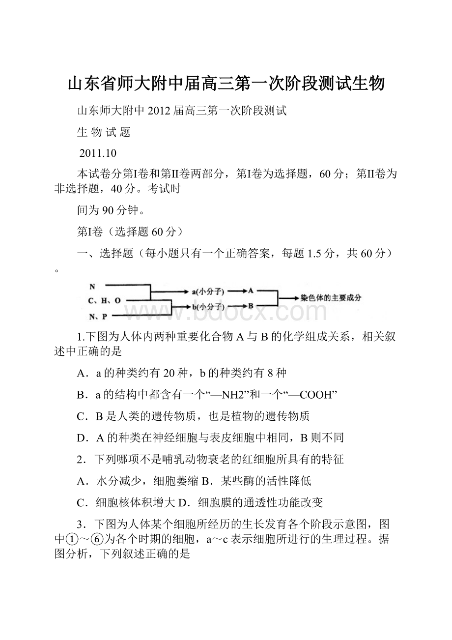 山东省师大附中届高三第一次阶段测试生物.docx_第1页