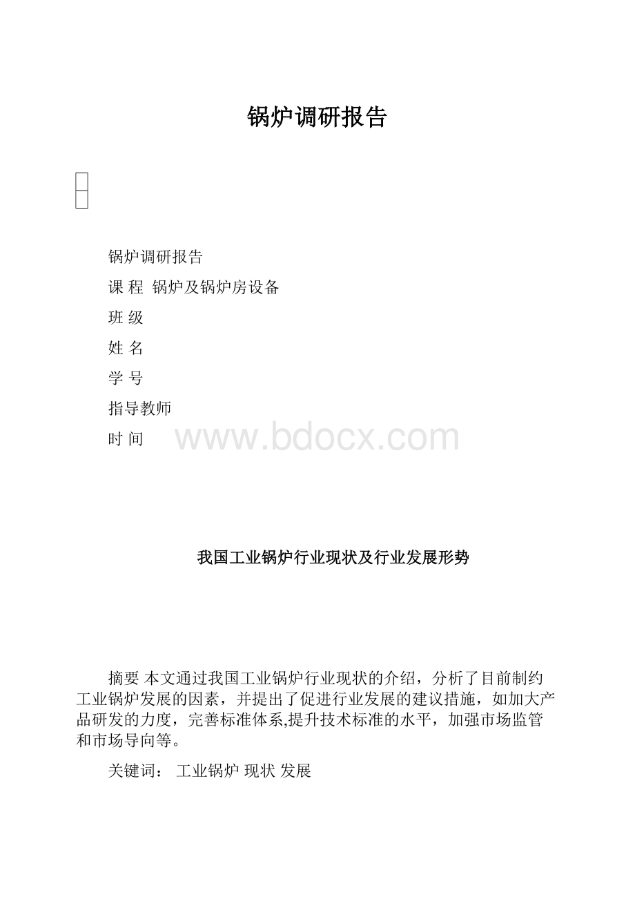 锅炉调研报告.docx_第1页