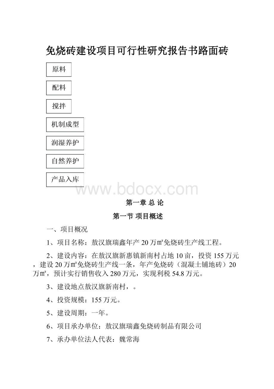 免烧砖建设项目可行性研究报告书路面砖.docx_第1页