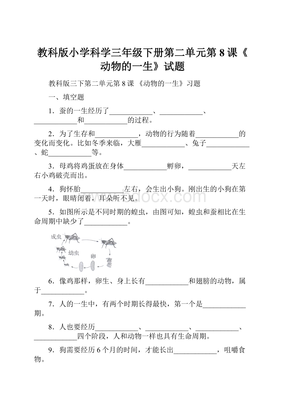 教科版小学科学三年级下册第二单元第8课《动物的一生》试题.docx_第1页