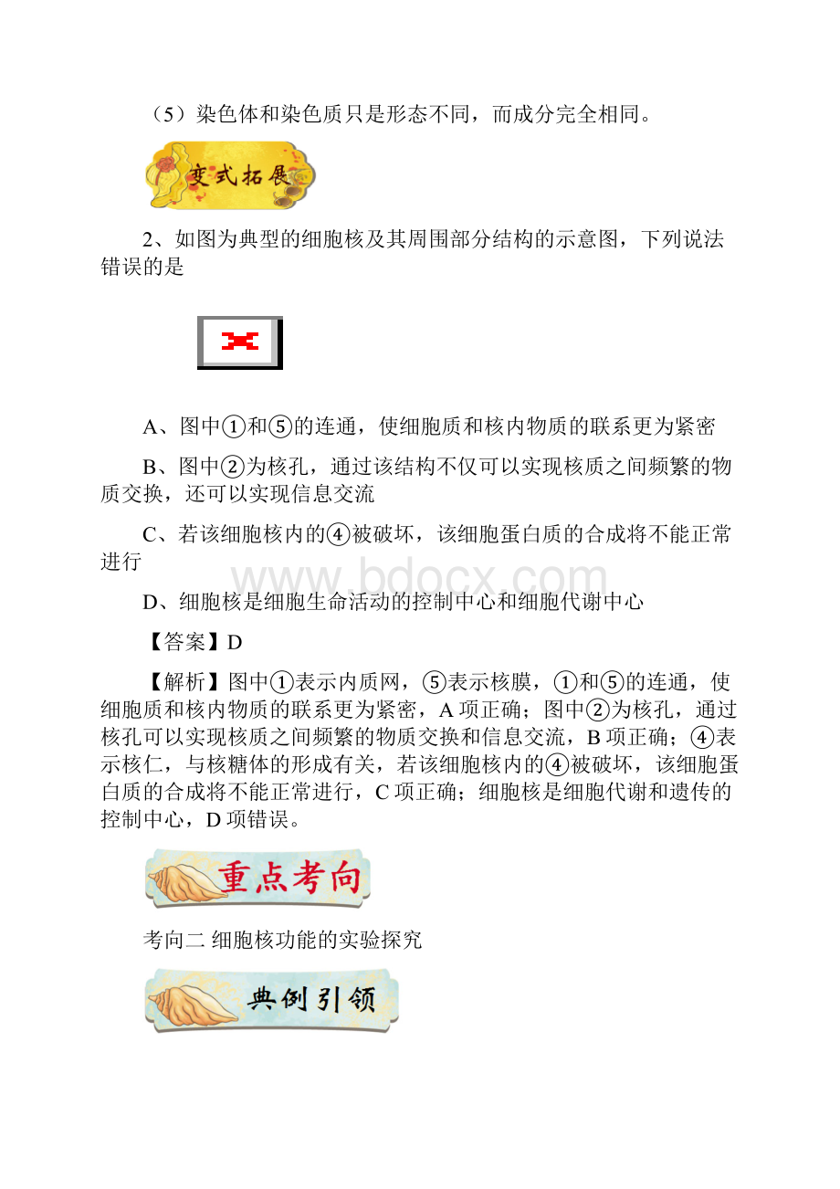 备战高考生物训练题 考点一遍过 专题09 细胞核的结构与功能含答案.docx_第3页