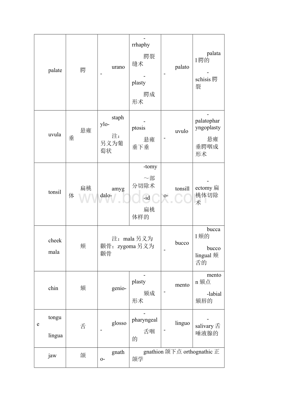 医学英语词汇希腊拉丁分类整理.docx_第2页