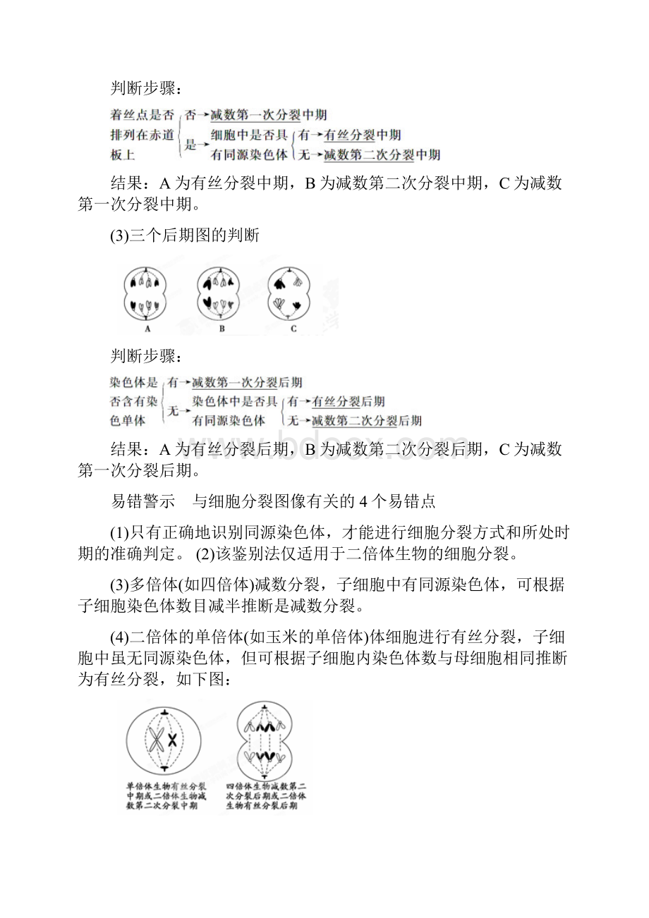 学年高三生物 第2章 基因和染色体的关系 考点二 比较减数分裂与有丝分裂复习 新人教版必修2doc.docx_第3页