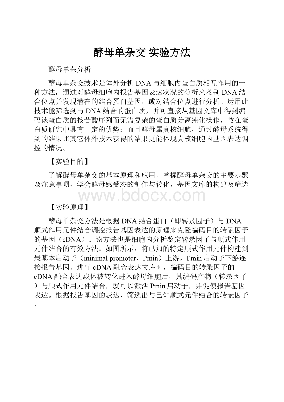 酵母单杂交 实验方法.docx