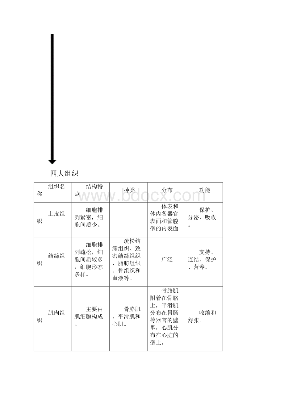 上海初中生命科学学科教学基本要求考点考纲.docx_第2页